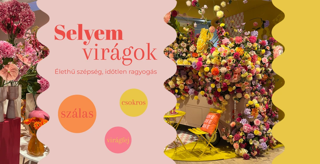 DekorPlaza.hu