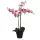 Élethű rózsaszín phalaenopsis orchidea műnövény kaspóban 79 cm