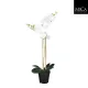 Élethű fehér phalaenopsis orchidea műnövény kaspóban 70 cm