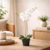 Élethű fehér phalaenopsis orchidea műnövény kaspóban 70 cm