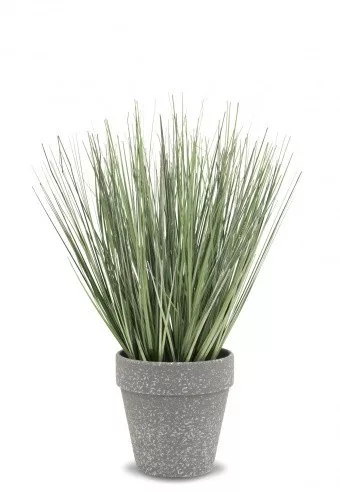 Dekor zöld növény 30 cm