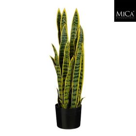   Élethű tarka szanszeviéria (anyósnyelv) műnövény kaspóban 80 cm