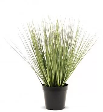 Dekor zöld növény 45 cm