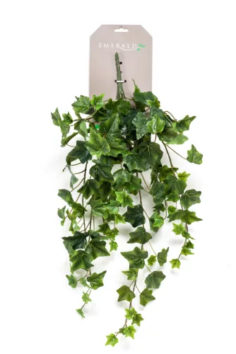 Csüngő borostyán zöld 70 cm