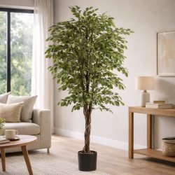 Élethű cserepes fikusz dekorfa fonott törzzsel 200 cm