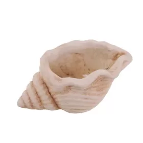 Beton kaspó ,kagyló formájú krém 13x8x6cm