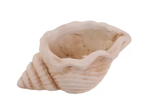 Beton kaspó ,kagyló formájú krém 13x8x6cm