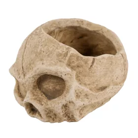 Halloween beton koponya kaspó 15,5 cm – barna