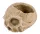 Halloween beton koponya kaspó 15,5 cm – barna