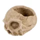 Halloween beton koponya kaspó 15,5 cm – barna