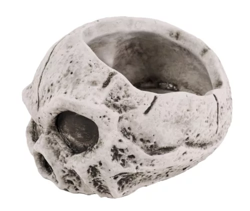 Halloween beton koponya kaspó 15,5 cm – szürke