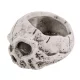 Halloween beton koponya kaspó 15,5 cm – szürke