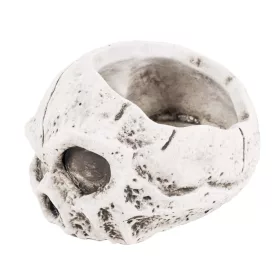 Halloween beton koponya kaspó 15,5 cm – fehér
