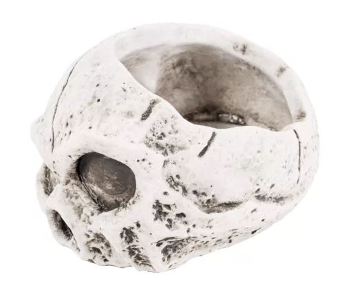 Halloween beton koponya kaspó 15,5 cm – fehér