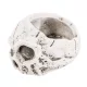 Halloween beton koponya kaspó 15,5 cm – fehér