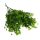 Csillagvirág csokor zöld 35cm