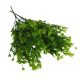 Csillagvirág csokor zöld 35cm