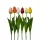 Élethű szálas selyem tulipán 53cm több színben választható/db