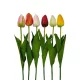 Élethű szálas selyem tulipán 53cm több színben választható/db