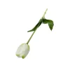 Élethű szálas gumi tulipán-Fehér