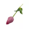 Élethű szálas gumi tulipán - Mályva