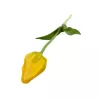 Élethű szálas gumi tulipán - Sárga
