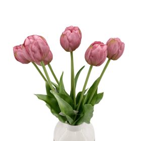Élethű szálas gumitulipán - Dús szirmú -Mályva