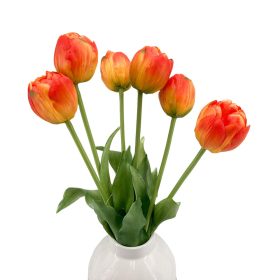 Élethű szálas gumitulipán - Dús szirmú - Narancs