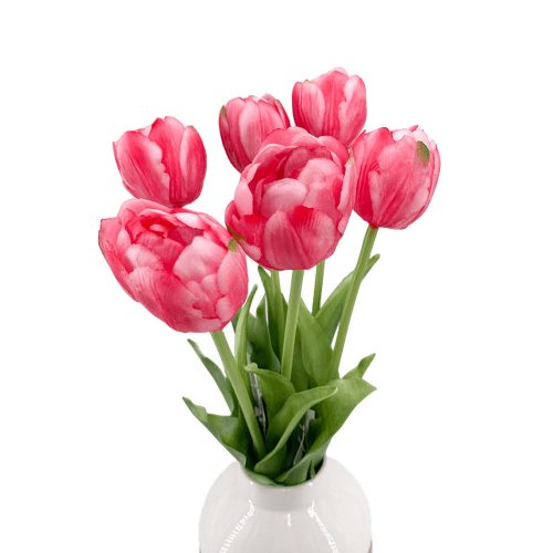 Élethű szálas gumitulipán - Dús szirmú -Pink