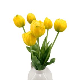 Élethű szálas gumitulipán - Dús szirmú - Sárga