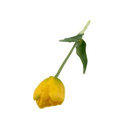 Élethű szálas gumitulipán - Dús szirmú - Sárga