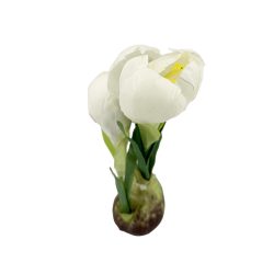 Élethű hagymás selyem krókusz fehér