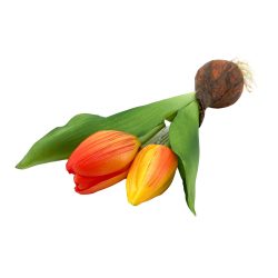 Élethű hagymás gumi tulipán narancsos