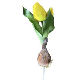 Élethű hagymás gumi tulipán - Sárga