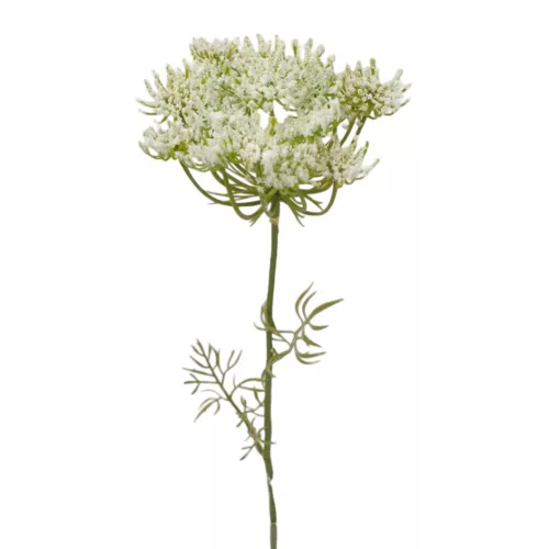 Élethű szálas díszkapor 58cm fej:12cm