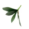 Élethű Orchidea levél 23 cm 4 levelű