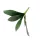 Élethű Orchidea levél 23 cm 4 levelű