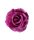 Élethű selyem nyílott rózsafej lila 8 cm
