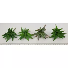 Mű aloevera 4 féle választható