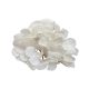 Élethű selyemvirág hortenzia fej krém 16cm                                        