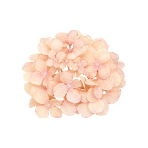Élethű selyemvirág hortenzia fej rózsaszín-halvány barack 16cm