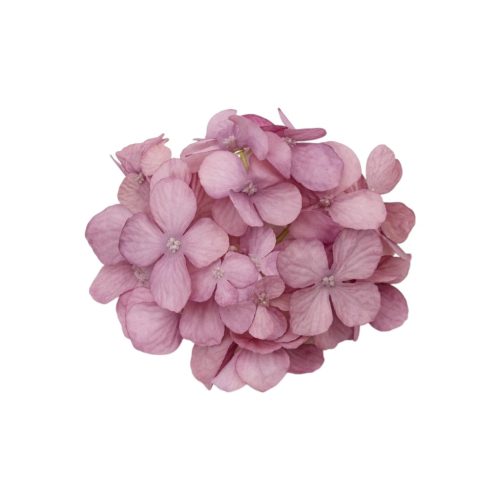 Élethű selyemvirág hortenzia fej sötét rózsaszín 16cm