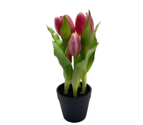 Élethű cserepes gumi tulipán pink 22cm