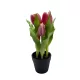 Élethű cserepes gumi tulipán pink 22cm