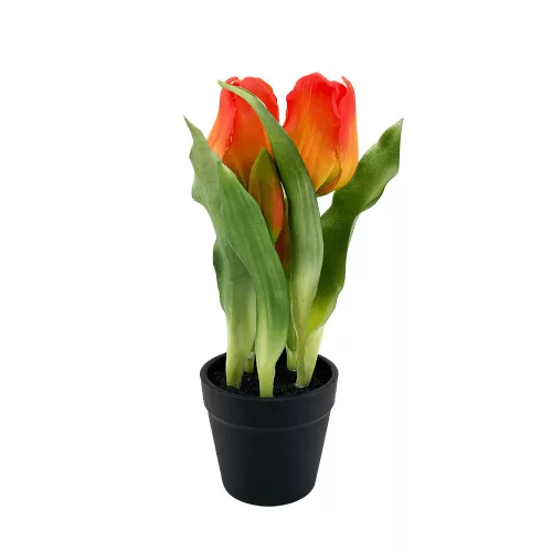 Élethű  cserepes gumi tulipán  narancsos 22cm