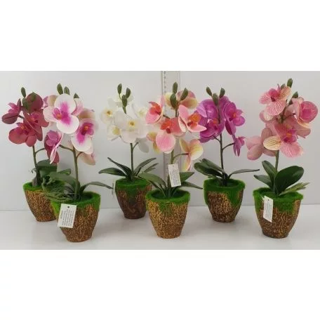 Cserepes gumi orchidea 28cm, több színben, választható
