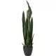 Élethű mű sansevieria szobanövény kaspóban 92 cm