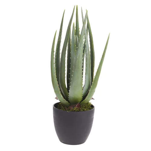 Műnövény Aloe Vera 45cm