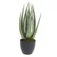 Műnövény Aloe Vera 45cm