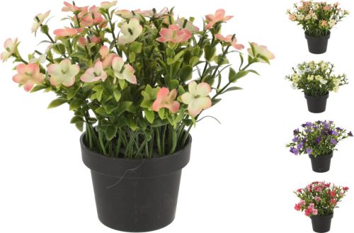 Műnövény színes virággal 4 féle választható fekete cserépben/ db 